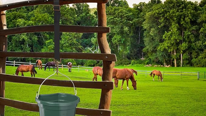 Adjustable Nylon Bucket Strap (3 Pack)- for Hay Nets, Water Buckets, Hanging Strap,Horse Outdoor Feeders,Heavy Duty Horse Water Feed, 30" (Black)