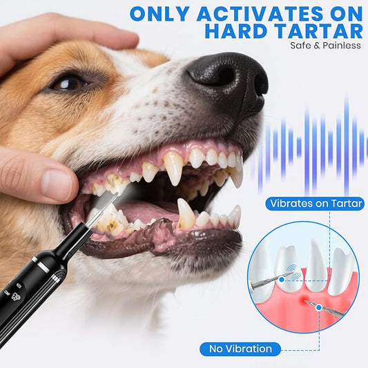 Dog Plaque Remover for Teeth,Pet Ultrasonic Tooth Cleaner with LED Light,Cleaning Kit for Tartar and Stains,5 Adjustable Modes,Pet Teeth Cleaning kit,Suitable for Dogs and Cats (Black)