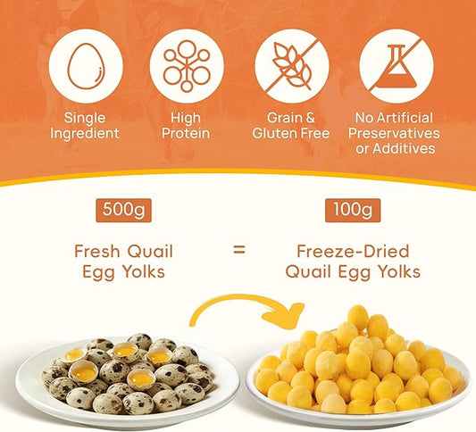 Freeze Dried Quail Egg Yolk, Freeze Dried Cats & Dogs Treats, Premium Quality High Protein Training Treats, Naturally Single Ingredient, Grain Free, Gluten Free, Filler Free, Net Wt. 8 oz