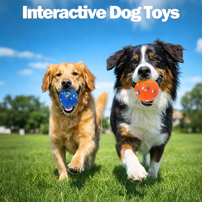Mity rain 4PCS Floating Dog Toys –E-TPU Water Pool Fetching Toy for Small Medium Large Pet, Ball Shape Indestructible Interactive Dog Chew Toys for Summer Outdoor Training Fun