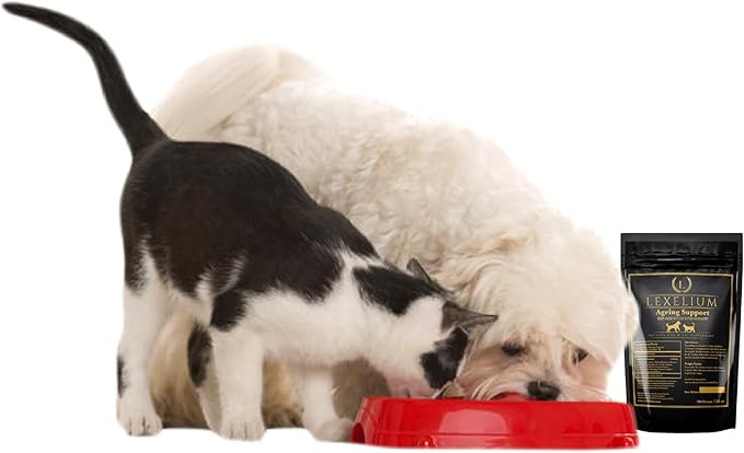 Vision Support & Eye Sight Supplement for Dogs and Cats- Fortified with Zeaxanthin, Bilberry, Lutein, and Beta Carotene - 200 Grams
