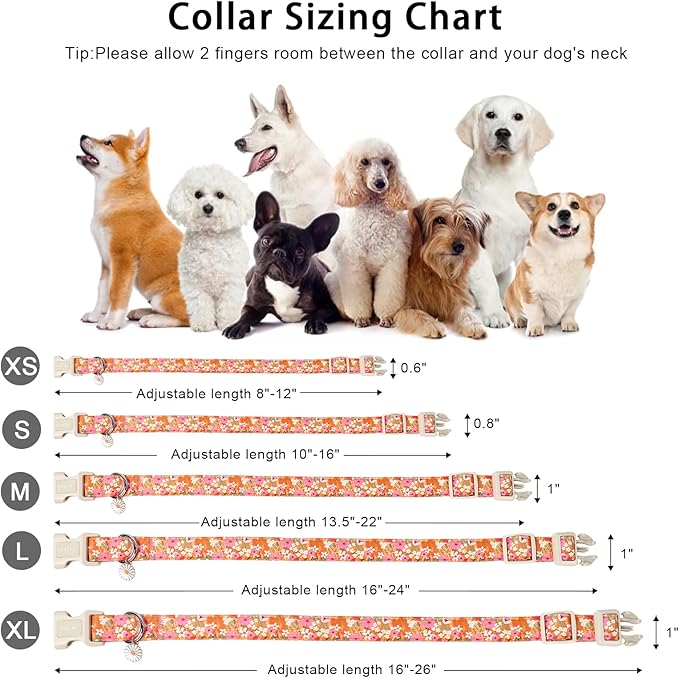 ARING PET Spring Summer Dog Collar, Cute Daisy Wildflower Floral Blossom Pet Collars for Small Medium Large Girl Dogs-M Size