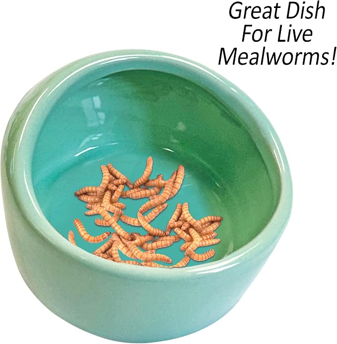 Exotic Nutrition No-Tip Ceramic Feed Station - Durable Ceramic & No Escape Feed Dish - Hamsters, Hedgehogs, Chinchillas, Rats, Ferrets, Guinea Pigs, Rabbits, Squirrels, and Reptiles (Green)