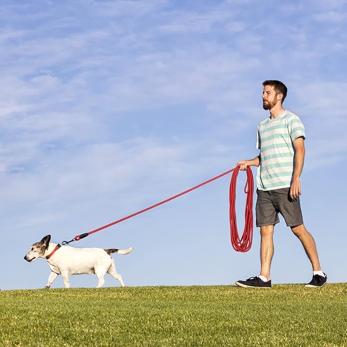 Long Dog Leash for Training 30Ft-Reflective Nylon Rope with Swivel Hook-Recall Agility Lead for Large Small Medium Dogs Outside Walking Hiking-Red Diam 1/2"
