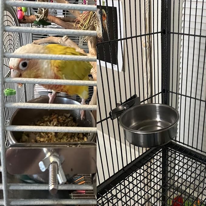 kathson 4 Pcs Stainless Steel Bird Feeding Bowl,Parrot Feeder Dish Cups Birds Cage Water Food Bowls Coop Cup with Clamp Holder for Parrots Cockatiel Budgies Parakeet Lovebird(L)
