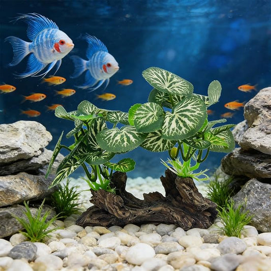 Aquarium Driftwood, Natural Fish Tank Decor for Betta, Reptile Hideout & Terrarium Ornament, Type-B
