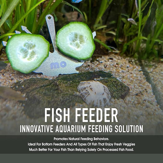 Deluxe Cucumber Holder Fish Pleco Feeder for Aquarium - Shrimp Stainless Steel Feeder Dual-Fork Design with Suction Cup and Retrieval Line for Fresh and Salt Water Fish Tanks, Easy to Use Marine