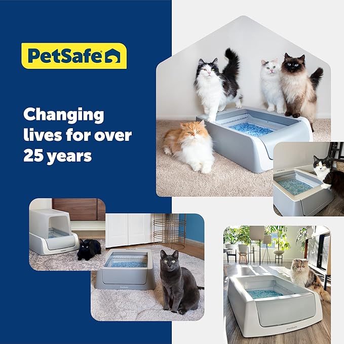 PetSafe ScoopFree Premium Crystal Cat Litter - Outperforms Clay Litter - Refill Packs - Reusable Tray Compatible - Fragrance Free - 4.3 lb Bags - 2 Pack