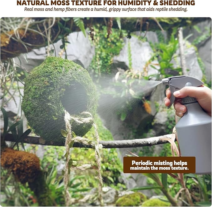 Moss Cave Hideout with Hanging Rope & Hemp Climbing Ladder – Natural Reptile Tank Decor Accessories for Crested Geckos, Chameleons, Tree Frogs, Leopard Geckos & Snakes. Terrarium & Vivarium Decor (6")