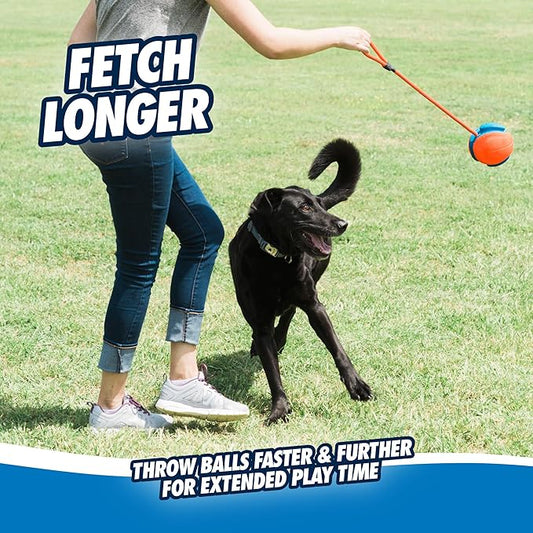 Chuckit! Rope Fetch Dog Toy - Ball on Rope Fetch and Tug-of-War Toy for Dogs - Durable EVA Rubber Construction - 5.5-inch Diameter - 18-inch Rope - Orange and Blue (Pack of 4)