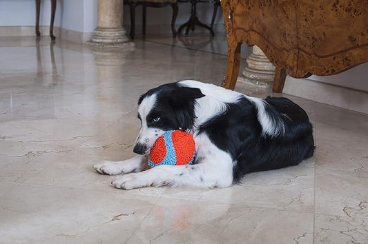 Chuckit! Indoor Fumbler Toy for Dogs - Interactive Dog Toys for Boredom, 7.5 Inch, Orange and Blue Roller