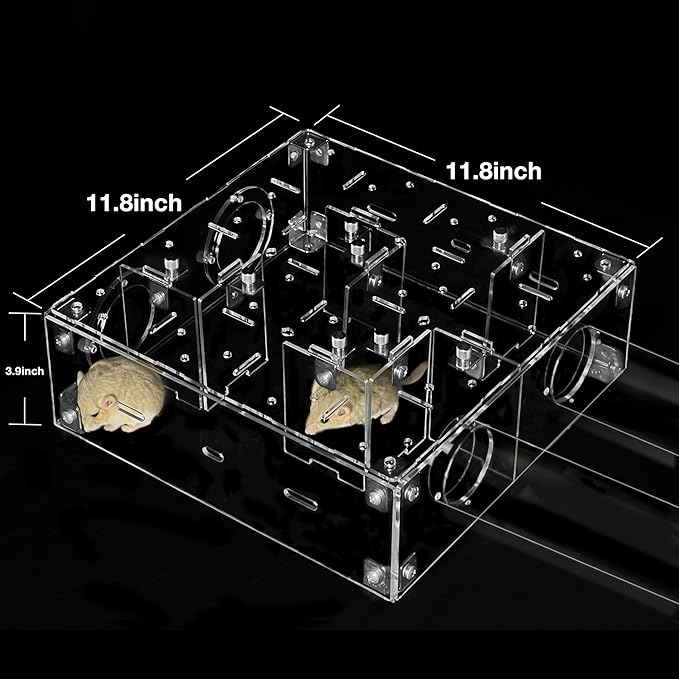 GuineaLoft™ Small Pet Maze V2 – Innovative Maze for Hamsters, Rats, Mice, Gerbils, and Other Small Rodents, Easy to Build, Fits Inside a Cage or Works Standalone, Connectable