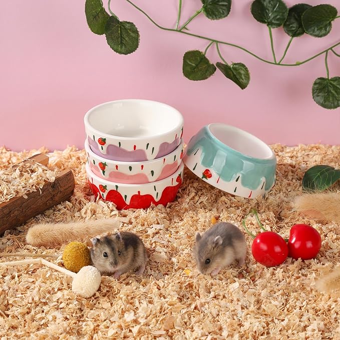 VanEnjoy 2 Pack Hamster Food Bowl Small Ceramic Water Food Bowl for Cage Small Animal Bowls for Hamster Guinea Pig Chinchilla Rabbit - Blue and Purple