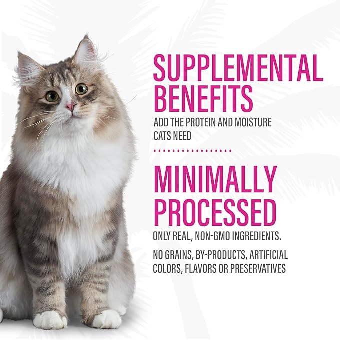 Tiki Cat Born Carnivore Complements Wet Cat Food Topper, High Protein & Limited Ingredient, Chicken, 2.1 oz. Pouch (12 Count)