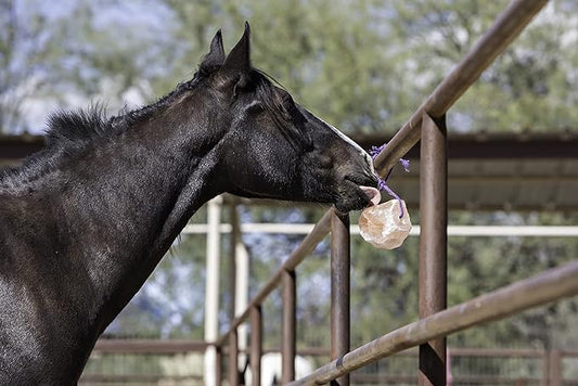 Horsemen's Pride Himalayan Salt Block on Rope for Horses, 4.4 Pounds, SS44 (Pack of 2)