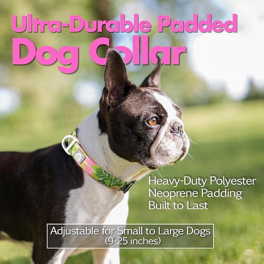 Dog Collar for Large Dogs with Reflective Logo and Soft Padded Neoprene,Summer Tropical Leaf Design,Adjustable,Lightweight & Durable, Neck Size 16’’-25’’ (Leaf, L)