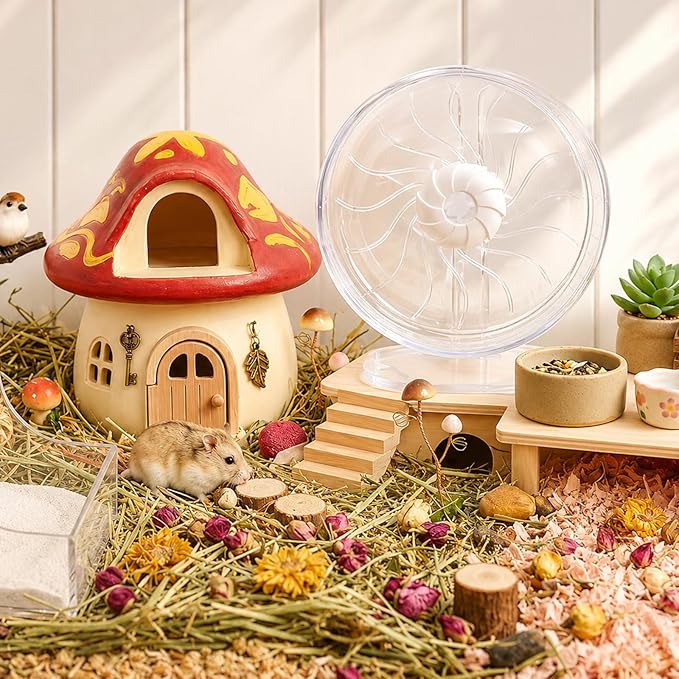 Silent Hamster Wheel, 10in Hamster Wheel with Adjustable Stand, Double-Bearing Quiet Spinner for Syrian Hamsters, Hedgehogs, Mice & Small Pets, Clear