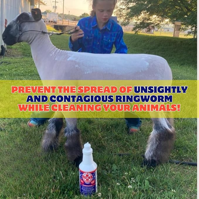 Ring Out Shampoo and Soap 32 oz - Low SUDSING Pet, Dog, Show Livestock Shampoo w/Tea Tree Essential Oil Strengthens & Promotes Health of Hair While Reducing Hair Loss & Scarring Caused by Ringworm
