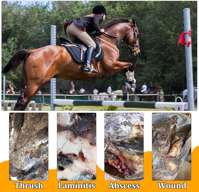 18 Pack Horse Hoof Tape with 6 Rolls of Vet Wrap, Strong Sticky Wraps, Magic Cushion Hoof Packing, Thrush Treatment for Horses, Horse Supplies for Real Horses