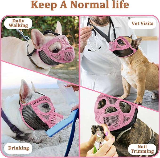 Mayerzon Short Snout Dog Muzzle for French Bulldog with Full Pant Design to Prevent Eating Biting, Soft Mesh Dog Muzzle for Shih Tzu Pug English Bulldog for Grooming Walking, Allow to Drink and Feed