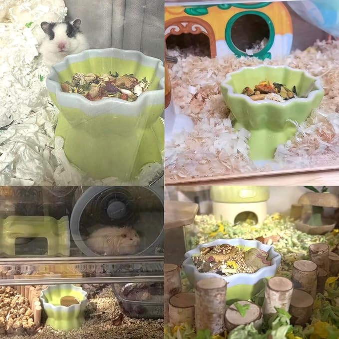 Ceramic Hamster Food Bowl Elevated Hamster Bowl Non-Tip Rat Feeding Dish with Water Bottle for Dwarf Gerbil Mouse Mice Sugar Glider (Green)