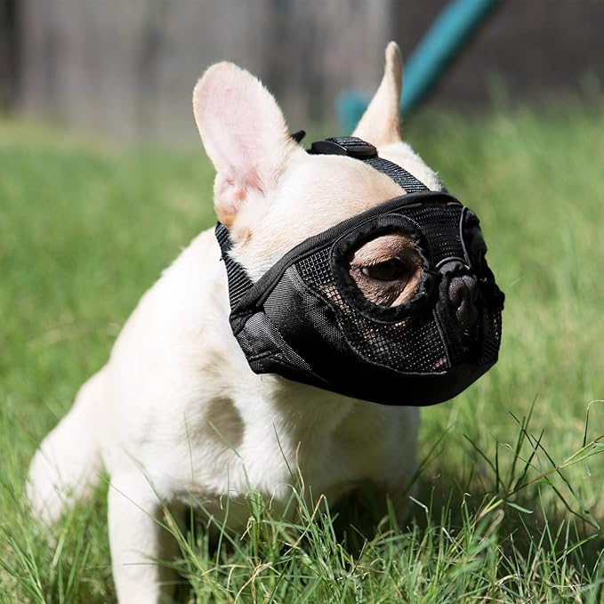 Short Snout Dog Muzzles- Adjustable Breathable Mesh Bulldog Muzzle for Biting Chewing Barking Training Grooming Dog Mask,Black XL