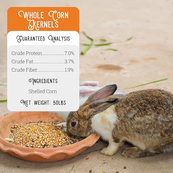 Ernst Grain & Livestock Whole Corn – Perfect Feed for Deer, Squirrels, Chickens, Ducks, Rabbits, Geese, and More! (46 Pound)