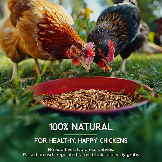 FLYGRUBS 20 lbs Dried Mealworms for Chickens – 85X More Calcium,Non-GMO,High-Protein Feed & Molting Supplement for Hens, Ducks, Turkeys, Wild Birds, Additive & Preservative Free