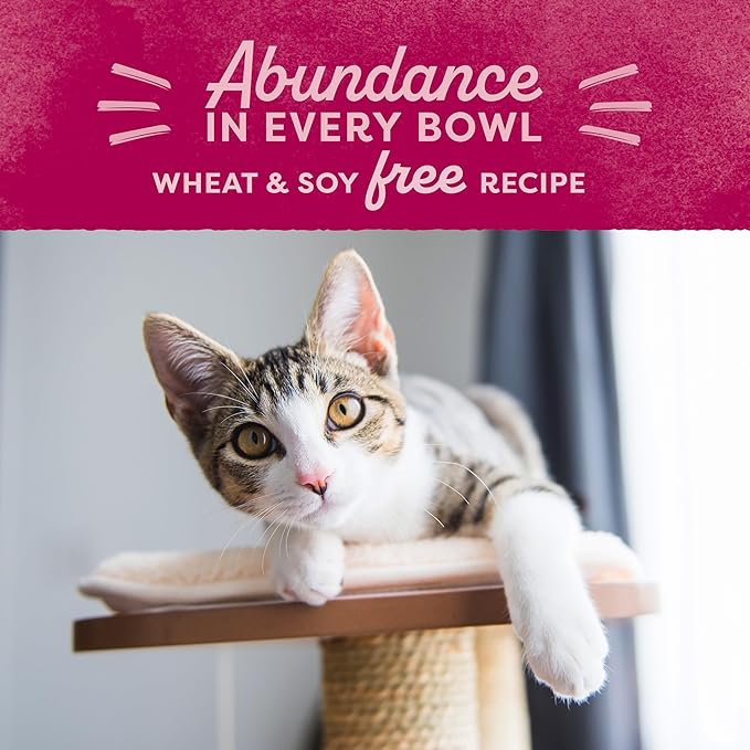 Natural Balance Original Ultra Dry Cat Food, Chicken Meal & Salmon Meal Recipe, 15 lbs.