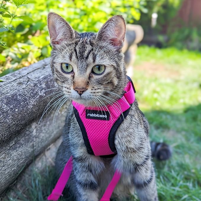 rabbitgoo Cat Harness and Leash for Walking, Escape Proof Soft Adjustable Vest Harnesses for Cats, Easy Control Breathable Reflective Strips Jacket, Rose Red,S