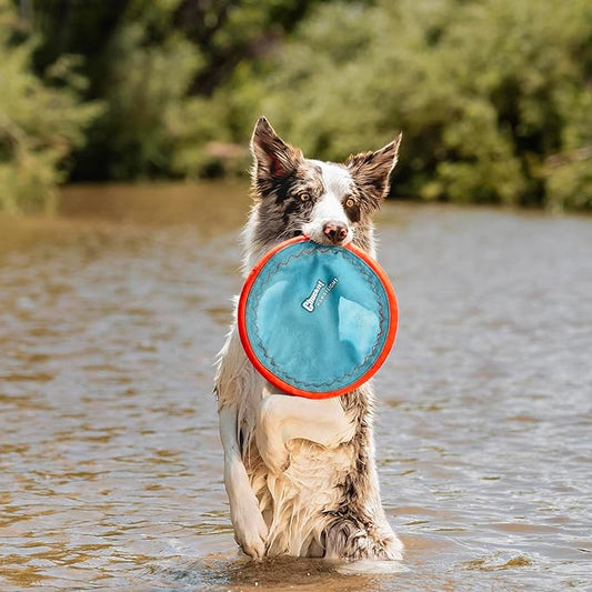 Chuckit! Paraflight Flying Disc Dog Toy - Water Floating Flyer - Durable Nylon Construction with Soft Rubber Edges - for Medium and Large Dogs - Size Large - 9.75" L x 9.75" W -,1 Count (Pack of 4)