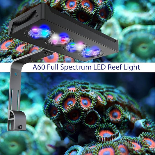 60W Full Spectrum Reef LED Light for Coral – Dimmable Saltwater Aquarium Light for SPS & LPS with Sunrise, Sunset & Moonlight – Nano Reef Tank 20–36" Up to 60 Gallons