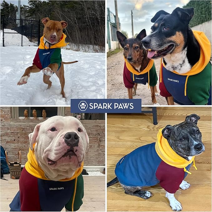 Spark Paws Dog Hoodie – Premium Dog Sweater for Small, Medium, and Large Dogs | Warm Outfits for French Bulldogs, Pitbull, Puppy, Winter Jacket Alternative - Primary Color Block - 2XL