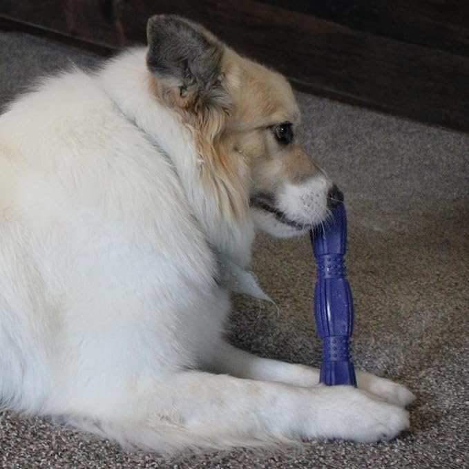 SPOT Barrett Tough Retriever Stick for Medium & Large Dogs - Virtually Indestructible Solid Rubber Dog Toy for Aggressive Chewers, Textured for Dental Health, Engaging Fetch Stick, 9.5 inch