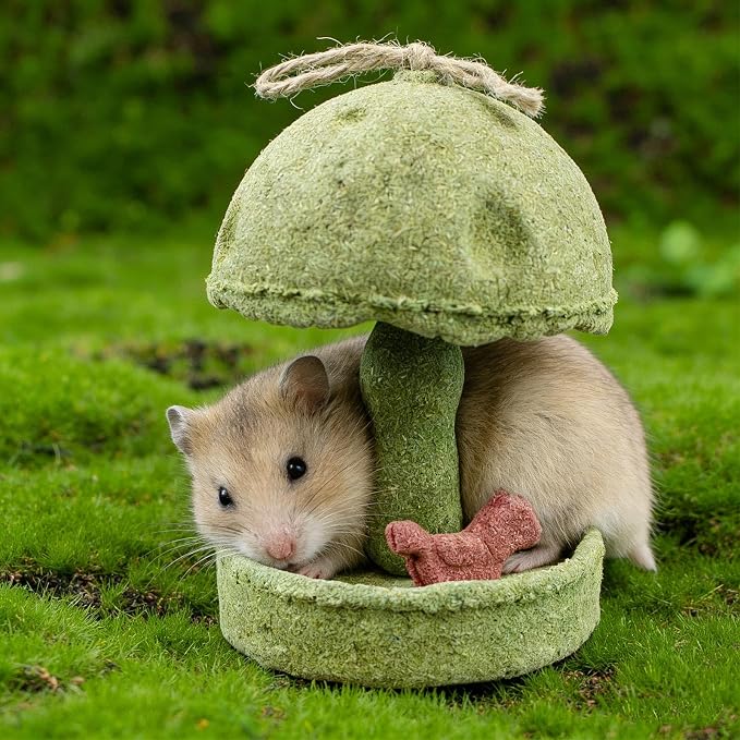 Hamster Chew Toys, Carousel Shape Natural Chew Toy with Hanging Rope, Bunny Toys for Rabbits Indoor, Toy for Rat, Hamster, Guinea Pig and Other Small Animals