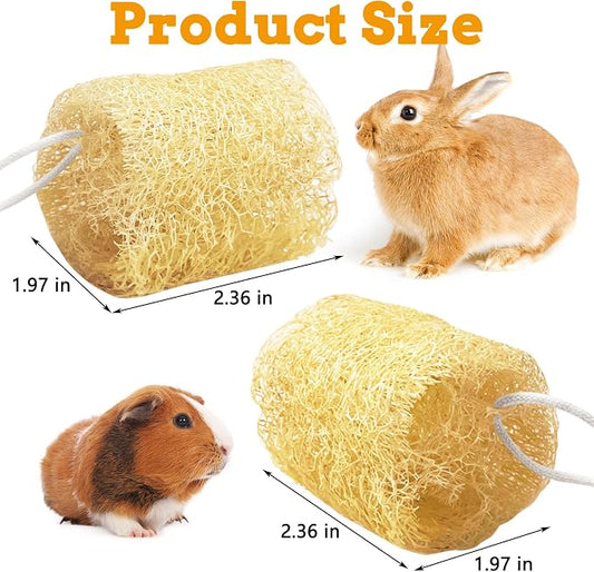 12 Pcs Rabbit Chew Toys Natural Bunny Loofah Chew Toy Chinchilla Teeth Grinding Toys Guinea Pig Fibre-Rich Treats Enrichment Bunny Accessories for Rabbits Hamster (M)