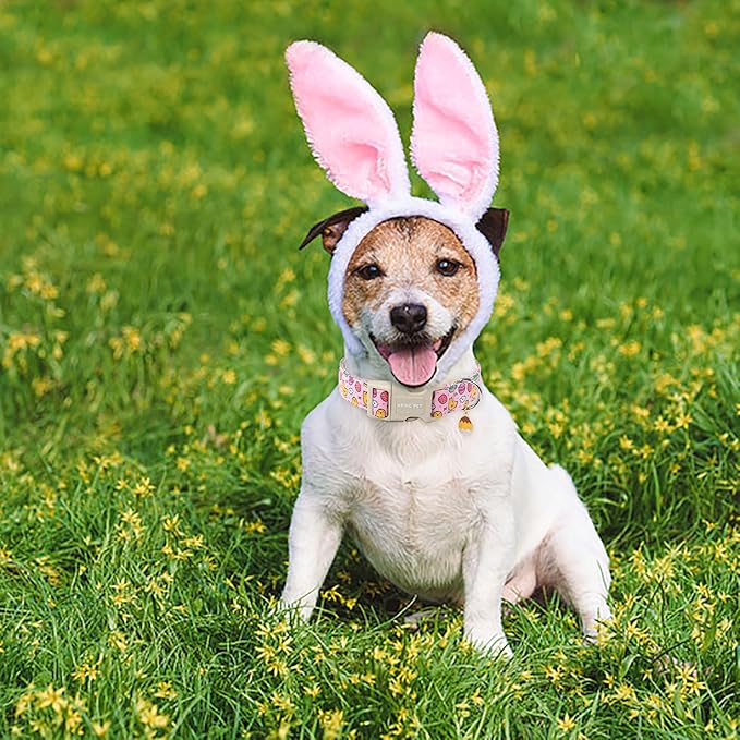 ARING PET Easter Dog Collar-Cute Adjustable Pink Chick Pet Collars Puppy Collar Gifts with Quick Release Buckle for Girl Boy Dogs-S