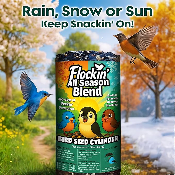 All Year Round Bird Seed Cylinders with Hole β All Season Wild Bird Food for Blue Jays, Cardinals, Doves, Finches & More β Balanced High Energy All Natural Blend, No Fillers β USA Made (6" x 7.75")