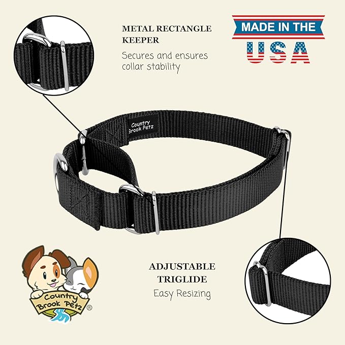 Country Brook Petz - Martingale Dog Collar - Heavy-Duty Training Collar with No Buckle - Service Dog Collar for All Pups - 20 Vibrant Colors (Black, 1 Inch, Medium)