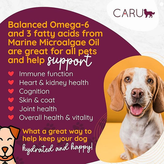 Caru - Daily Dish Turkey & Lamb Stew - For Dogs - Supports Overall Pet Health - Wet Dog Food/Meal Topper - Human Grade Ingredients - Grain, Corn & Soy Free - Non-GMO - Made in USA - 12 oz - Case of 12