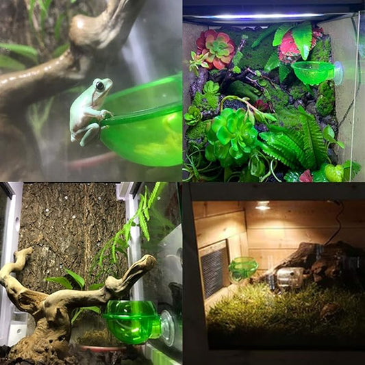 PINVNBY Reptile Suction Cup Feeder,Chameleon Feeding Food Bowl,Translucent Anti Escape Worm Live Fodder Container,Pet Ledge Water Dish Supplies for Lizard Gecko Bearded Dragon(4 Pcs)