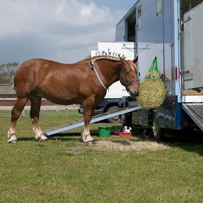 Hay Net for Horses,Slow Feed Hay Bag for Horses Goat Sheep,Hanging Hay Feeder Bag for Horses Stable Stall Paddock Rest Toy
