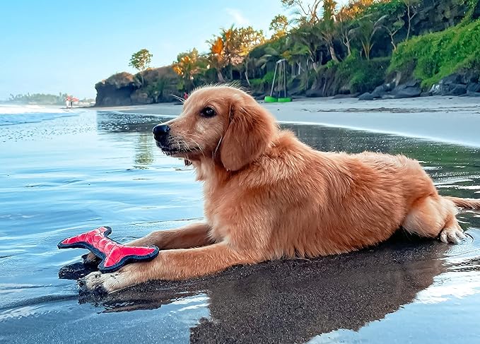 Tuff Pupper SuperChewy Tough Floating Dog Water Toy Strong Natural Rubber | Great Dog Fetch Toy | Pool Swimming Toy for Puppy| Durable Training Toy for Non-Aggressive Chewers