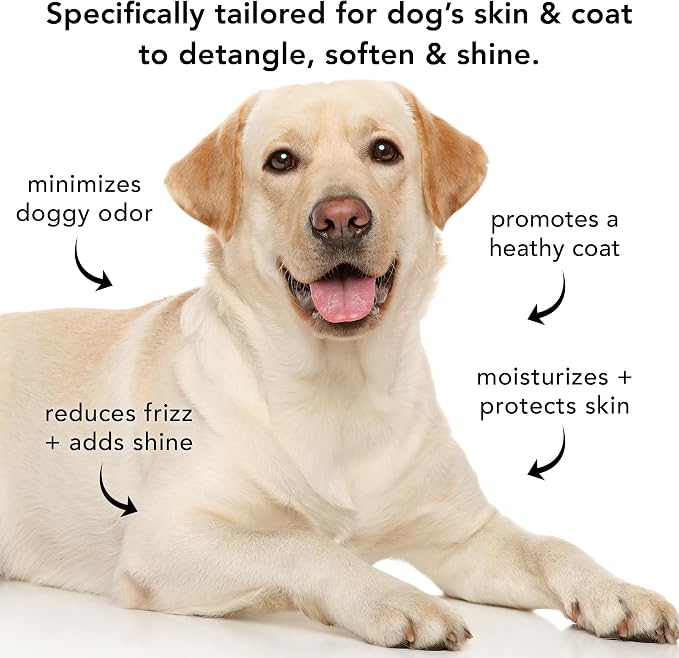 Pride and Groom The Final Coat | Grooming Conditioner that Extends the Life of a Groom | Tearless All Natural Ingredients that Untangle, Nourish, and Add Shine for All Dogs – 16oz (Pack of 2)