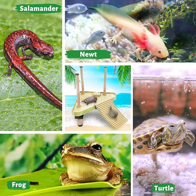 Keedolla Floating Turtle Pier and Basking Platform, Turtle Basking Platform Ramp Tortoise Reptile Floating Docks Climbing Ladder for Crabs, Frogs, Newts, Salamanders - Medium