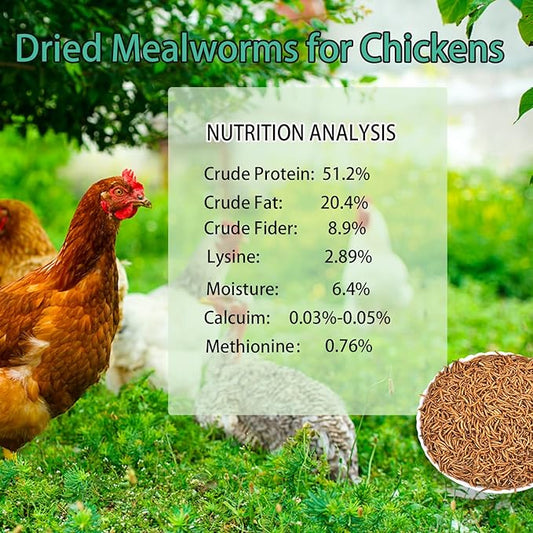 KAYHEN Dried Mealworms for Chickens 5LB Pure Natural Non-GMO High Protein Feed Meal Worms for Laying Hens Wild Birds