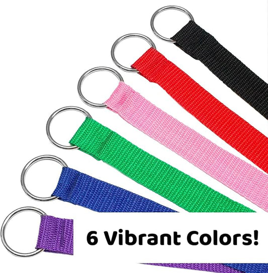 Downtown Pet Supply - 6ft Dog Kennel Slip Lead - Veterinarian, Grooming, Daycare & Rescue Supplies - One Size Leads for Dogs - 1" Thick 6 Pack