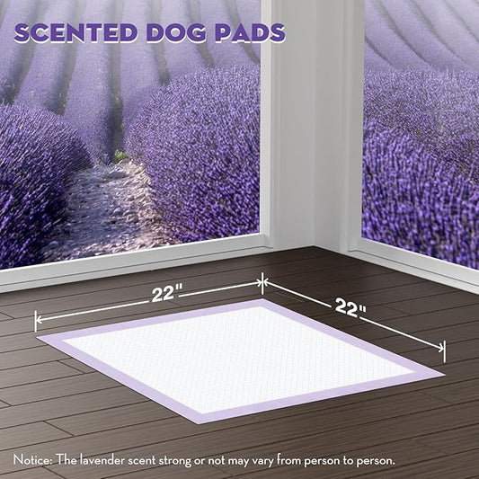 CROCI 22x22in Puppy Pads 100 Count with Adhesive Tabs, Dog Pads Absorbs Up to 3 Cups Potty Training, Disposable