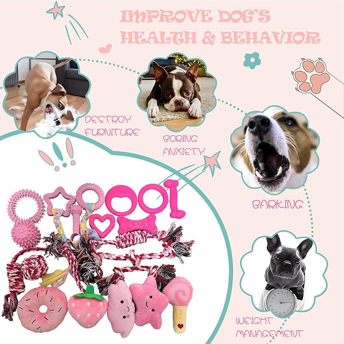 20Pcs Puppy Teething Toys for Small Medium Dogs - Cute Chew Toy Bundle Includes Plush Squeaky Toys, Rubber Ball, Rope Toy, TPR Bone, Dental Chew Ring - Interactive Dog Toy Gift with Storage Bag