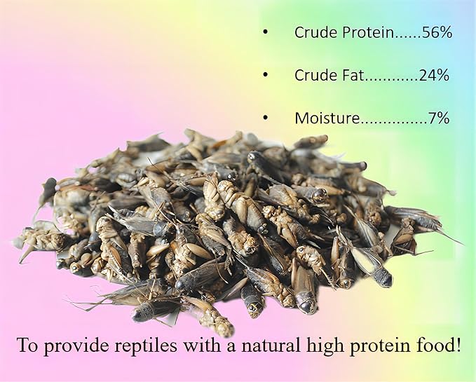 Classic Flock 3.5oz Freeze-Dried Cricket – High Protein Reptile & Amphibian Food for Healthy Pets,Suitable for Birds, Fish, Hedgehogs, Bearded Dragons, Lizards